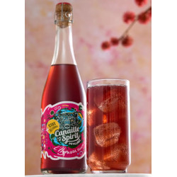 CANAILLE SPIRIT - Boisson Pétillante Miel, Hibiscus, Verveine, Pommes – 75cl