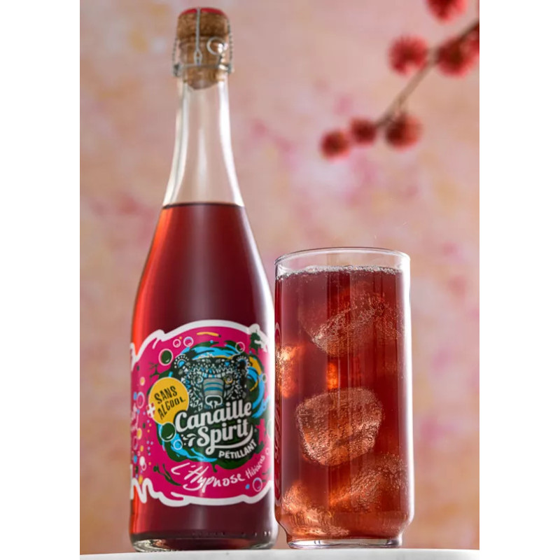 CANAILLE SPIRIT - Boisson Pétillante Miel, Hibiscus, Verveine, Pommes – 75cl