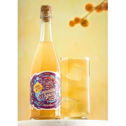 CANAILLE SPIRIT - Boisson Apéritive Pétillante au Miel Gingembre Pommes - 75cl