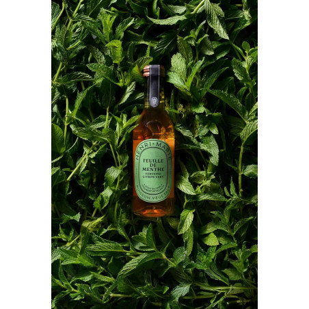 HENRI MARIE - Boisson végétale BIO - Feuille de Menthe - Verveine - Citron Vert 25cl