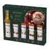 MONIN - Coffret de sirops pour Boissons chaudes de Noël - 5x5 cl