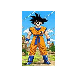 L'ELIXIR DES 3 SORCIERS - Goku (Saveur Pêche) - 33cl