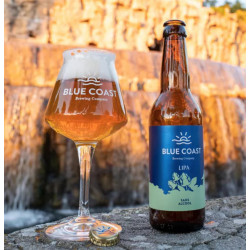 BLUE COAST Bière Longitude 0° - Bouteille 33 cl - BIO