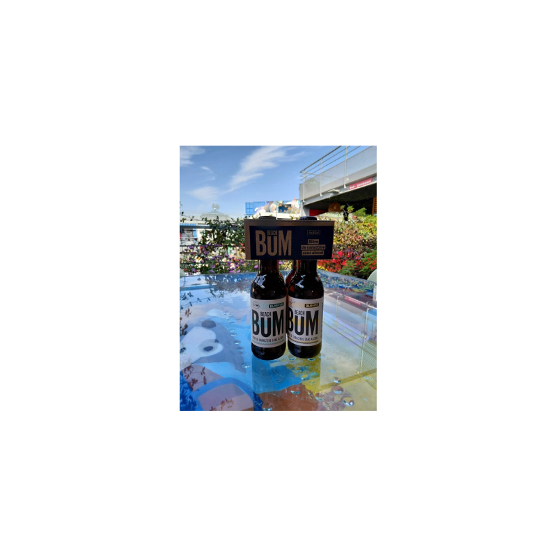 BEACH BUM - Pack Découverte 4 X 33cl (Blanche - Blonde - IPA - Ambrée)