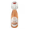 DELICE CIGALE - Sirop Melon 25 cl