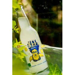 KEF - Kéfir de fruits GINGER sans sucres BIO - 33 cl