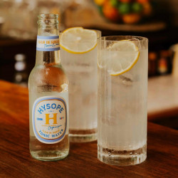 HYSOPE - Tonic Water Fleur de Sureau 20cl