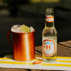 HYSOPE - Ginger Beer Spicy 20cl