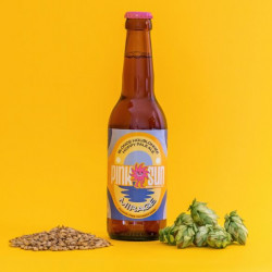 PINK SUN BREWING - Bière Mirage 33cl