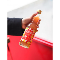 GOOD VIE - Kombucha Kéfir Pomme / Fraise - 330 ml