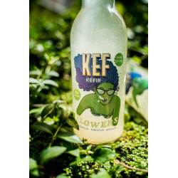 KEF - Kéfir de fruits FLOWERS sans sucres BIO - 33 cl