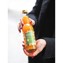 GOOD VIE - Kombucha Kéfir Ananas / Mangue - 330 ml