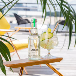 UNAJU Yuzu Cucumber - 25 cl