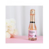 CHAVIN Pierre Zéro Effervescent Rosé 20cl