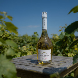 MALIZETH - Blanc de blancs 75cl