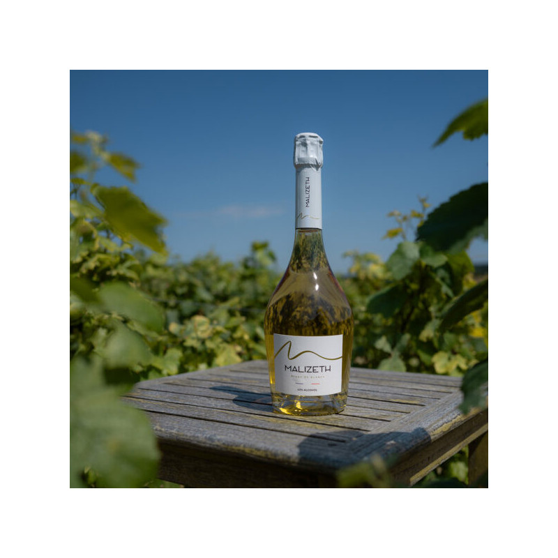 MALIZETH - Blanc de blancs 75cl