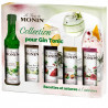 MONIN - Coffret pour Gin tonic - 5x5cl