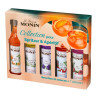 MONIN - Coffret de sirops pour Spritzer et Apéritif - 5x5cl